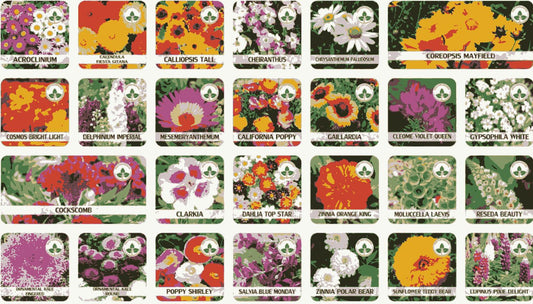 Buy Varieties of Flower Seeds